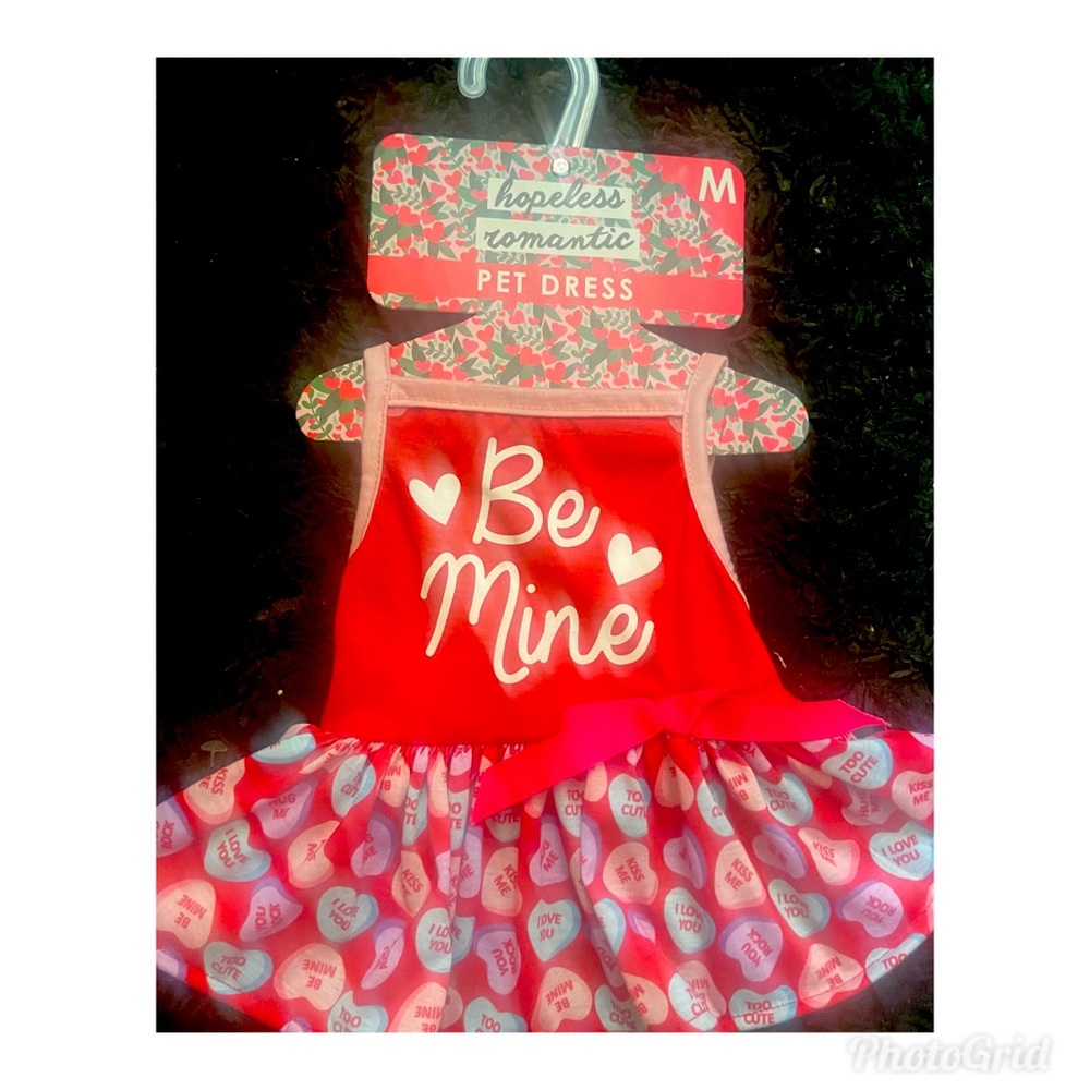 ❤️Brand new pet dress ❤️
